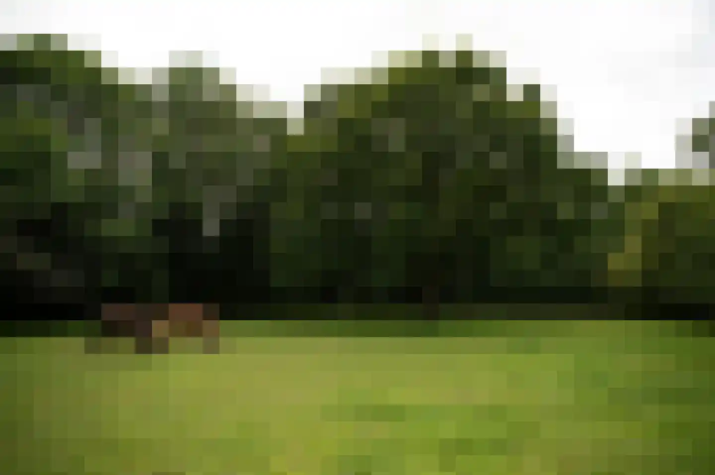 Vurenboomweg 6 A Putten thumbnail 108