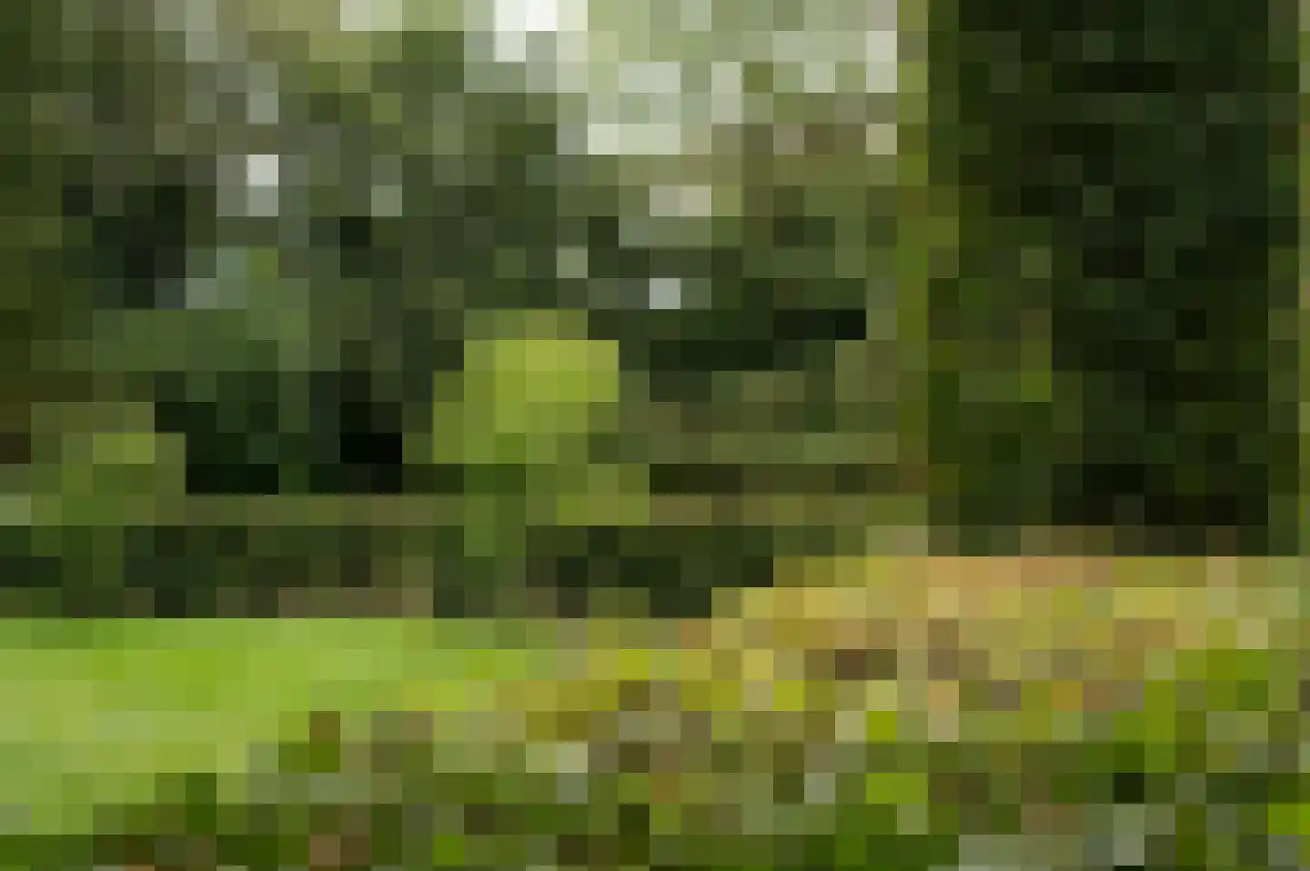 Vurenboomweg 6 A Putten thumbnail 109