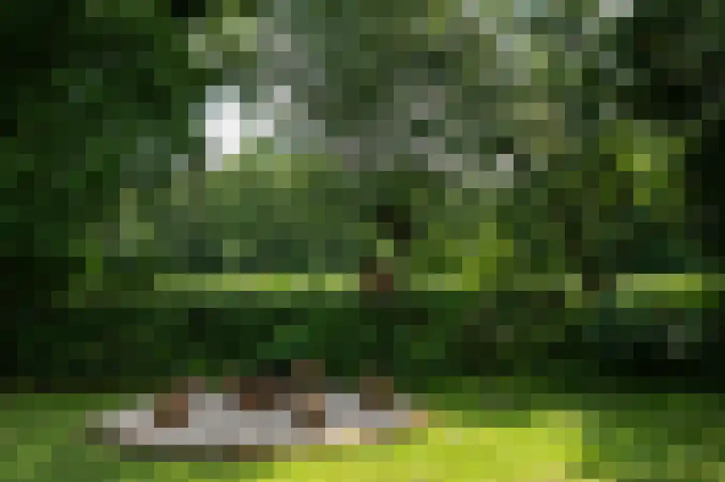 Vurenboomweg 6 A Putten thumbnail 111