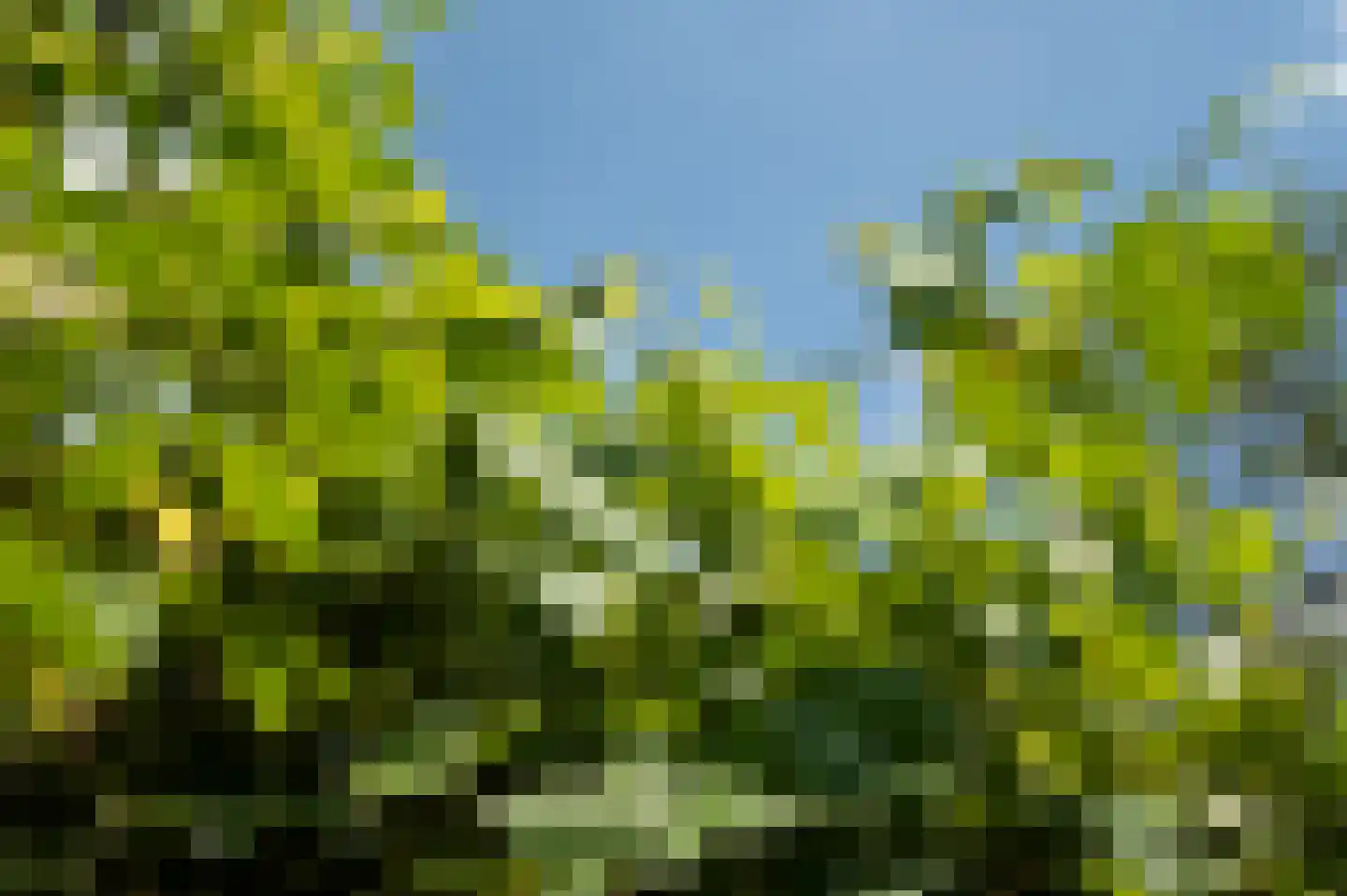 Vurenboomweg 6 A Putten thumbnail 116