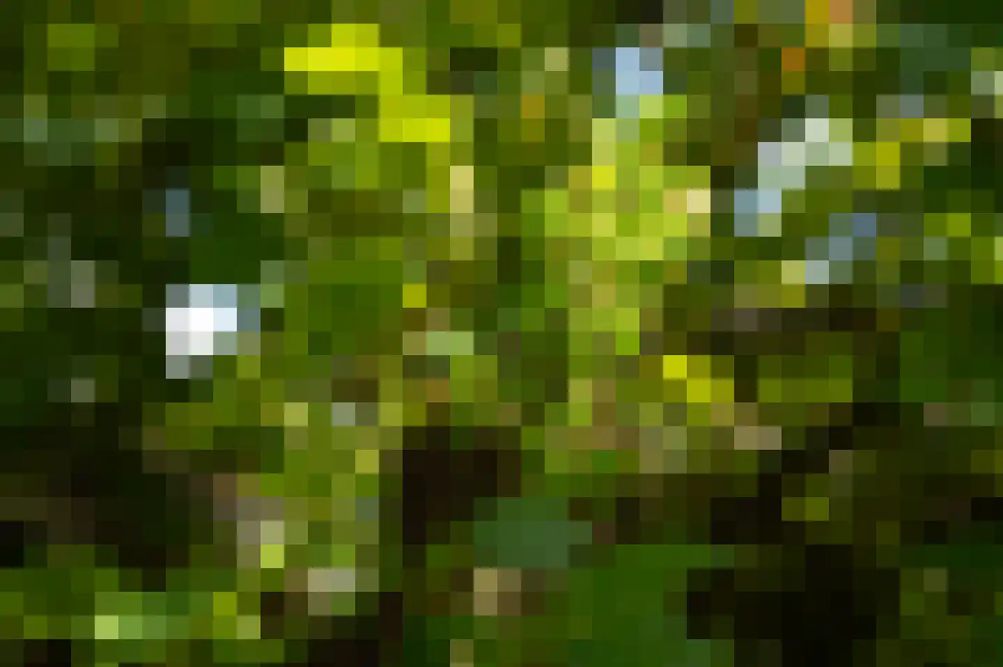 Vurenboomweg 6 A Putten thumbnail 117