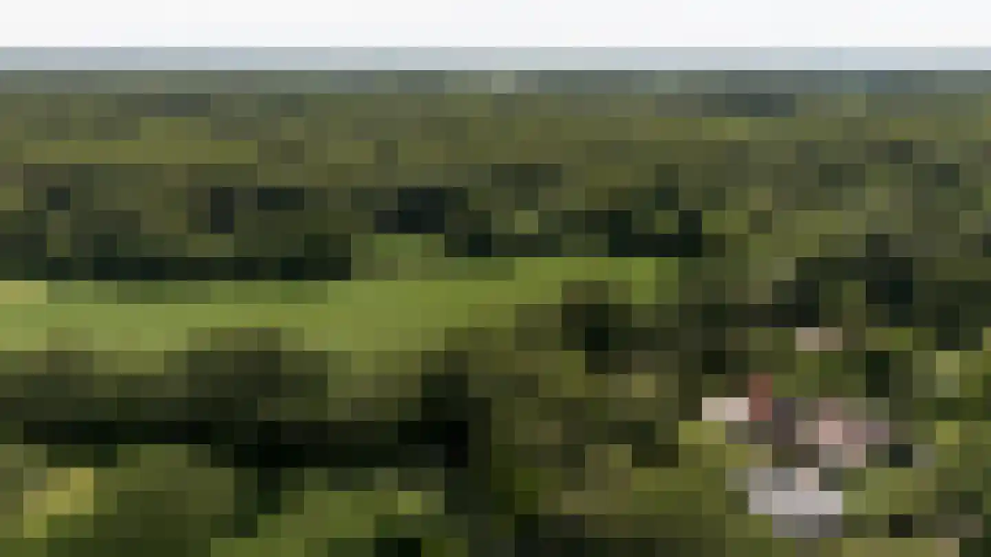 Vurenboomweg 6 A Putten thumbnail 121