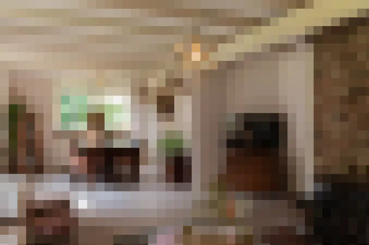 Vurenboomweg 6 A Putten thumbnail 18