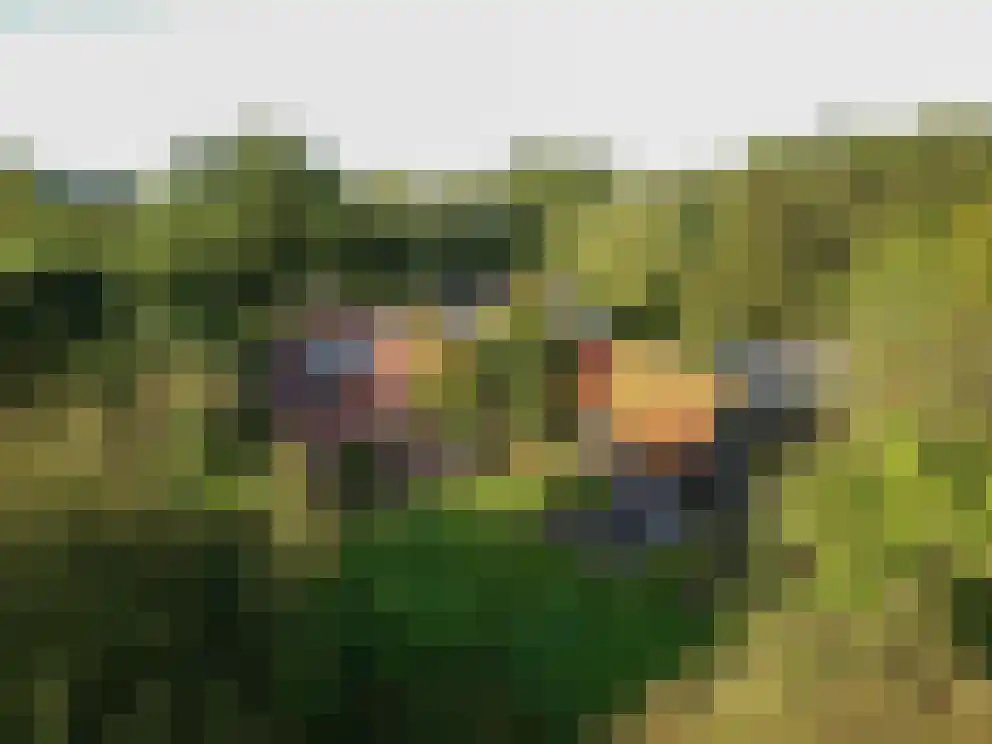 Vurenboomweg 6 A Putten thumbnail 5