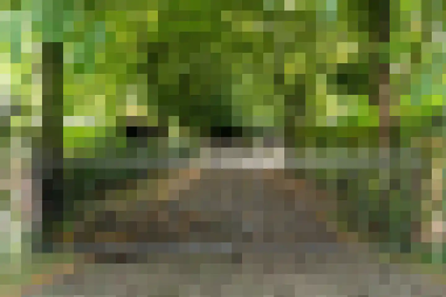 Vurenboomweg 6 A Putten thumbnail 7