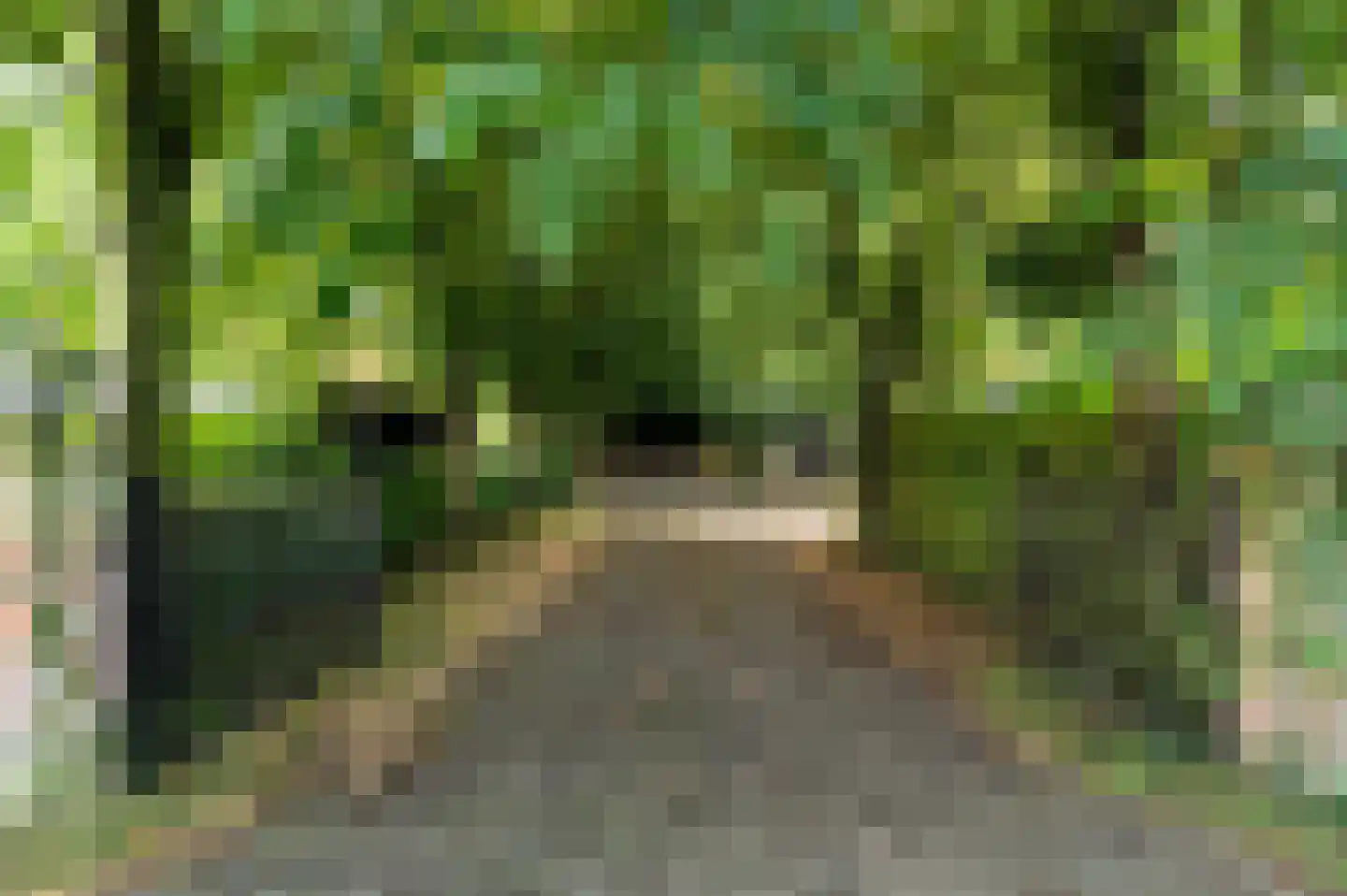 Vurenboomweg 6 A Putten thumbnail 8