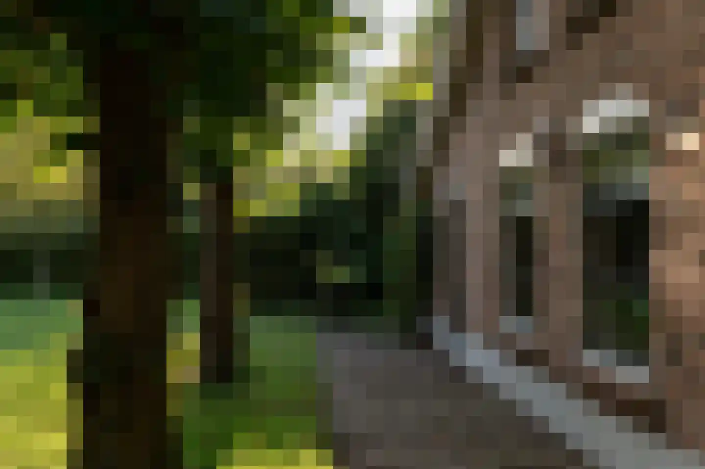 Vurenboomweg 6 A Putten thumbnail 89