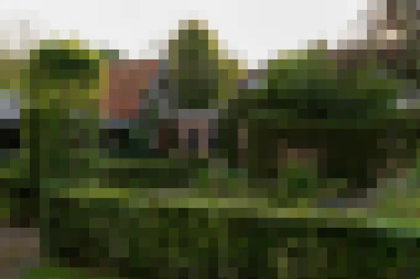 Vurenboomweg 6 A Putten thumbnail 9