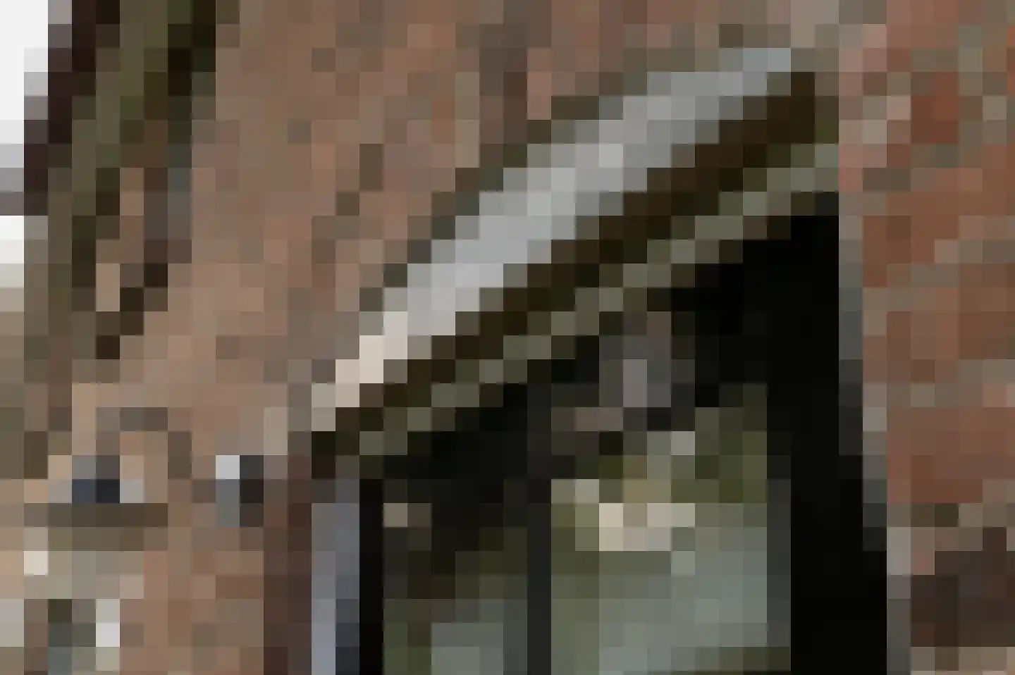 Vurenboomweg 6 A Putten thumbnail 92