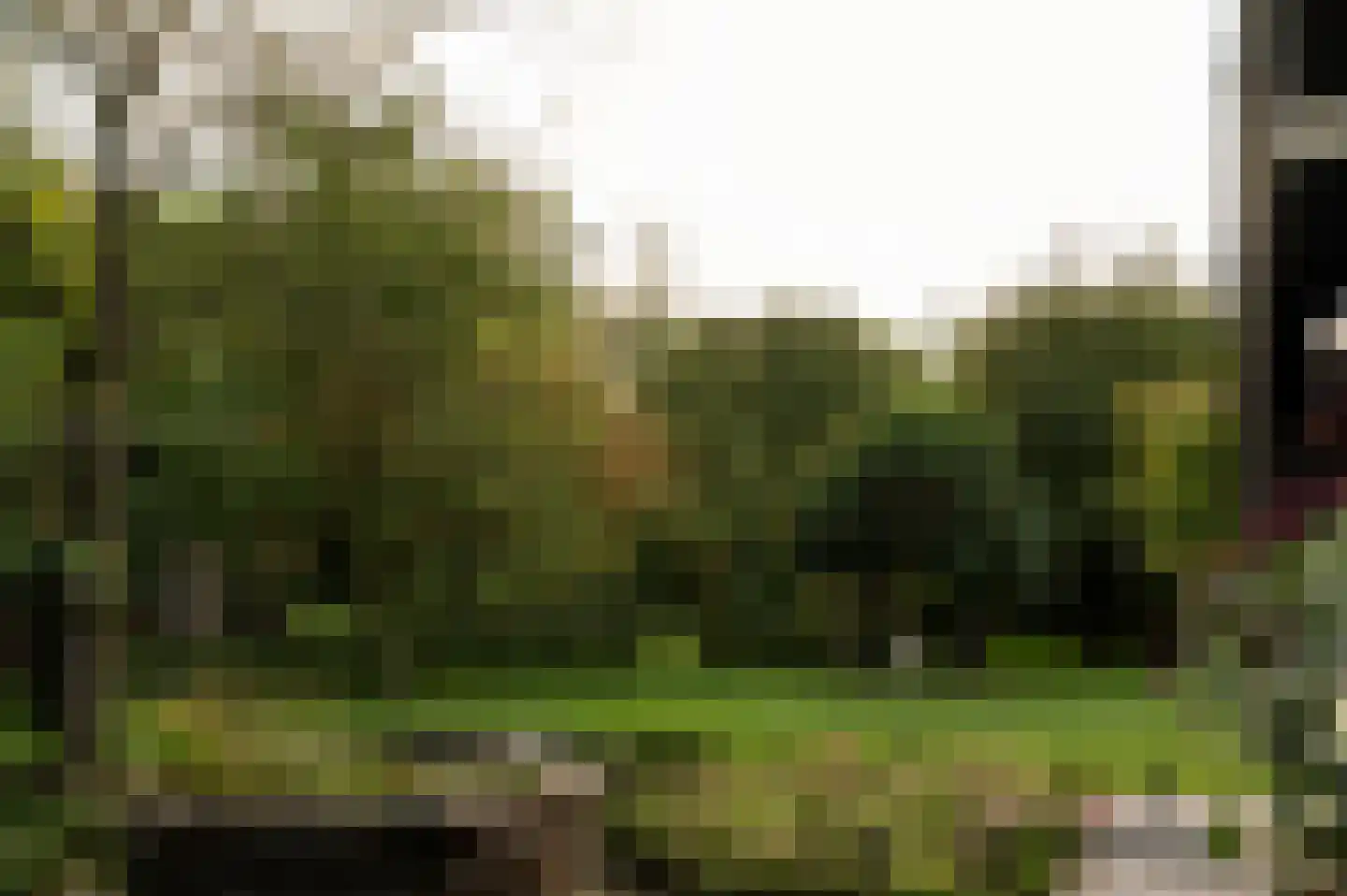 Vurenboomweg 6 A Putten thumbnail 95
