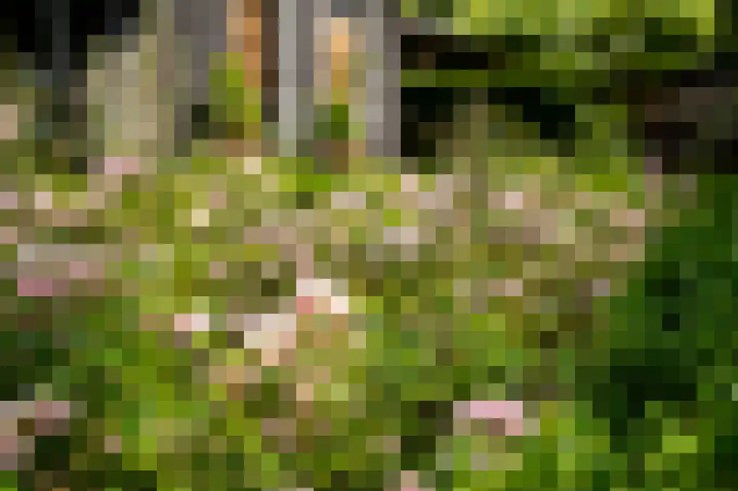 Vurenboomweg 6 A Putten thumbnail 97
