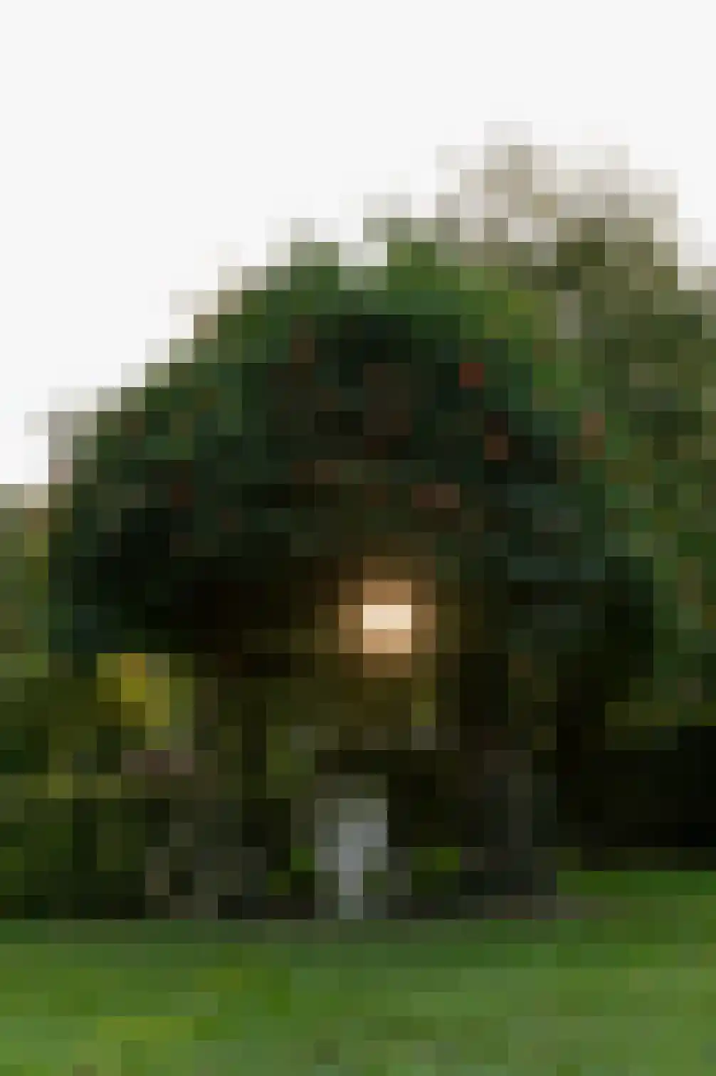 Vurenboomweg 6 A Putten thumbnail 99