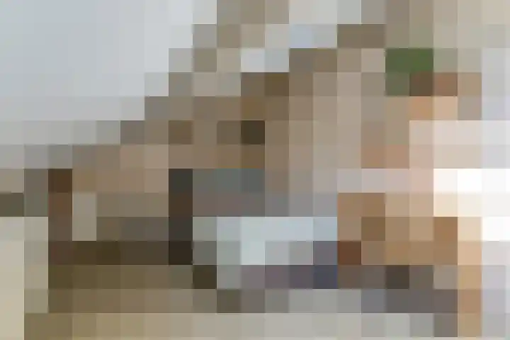 Vurenlaan 196 Tiel thumbnail 18