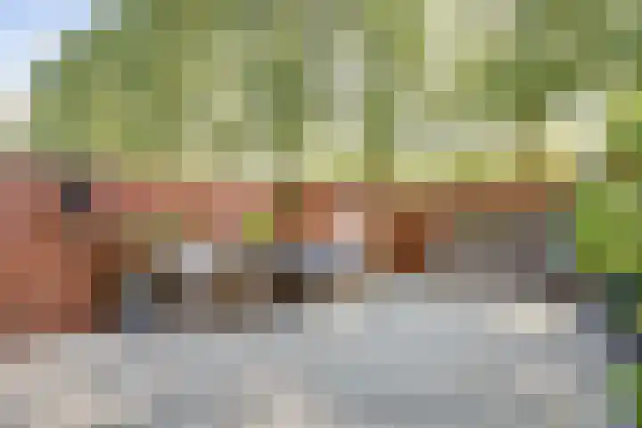Vurenlaan 196 Tiel thumbnail 21