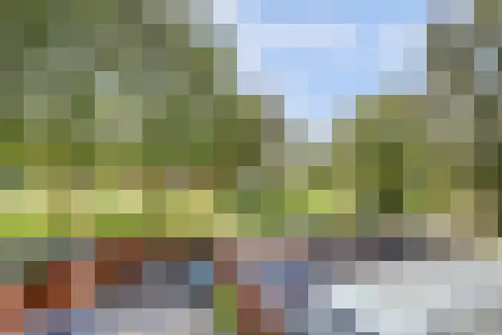 Vurenlaan 196 Tiel thumbnail 31