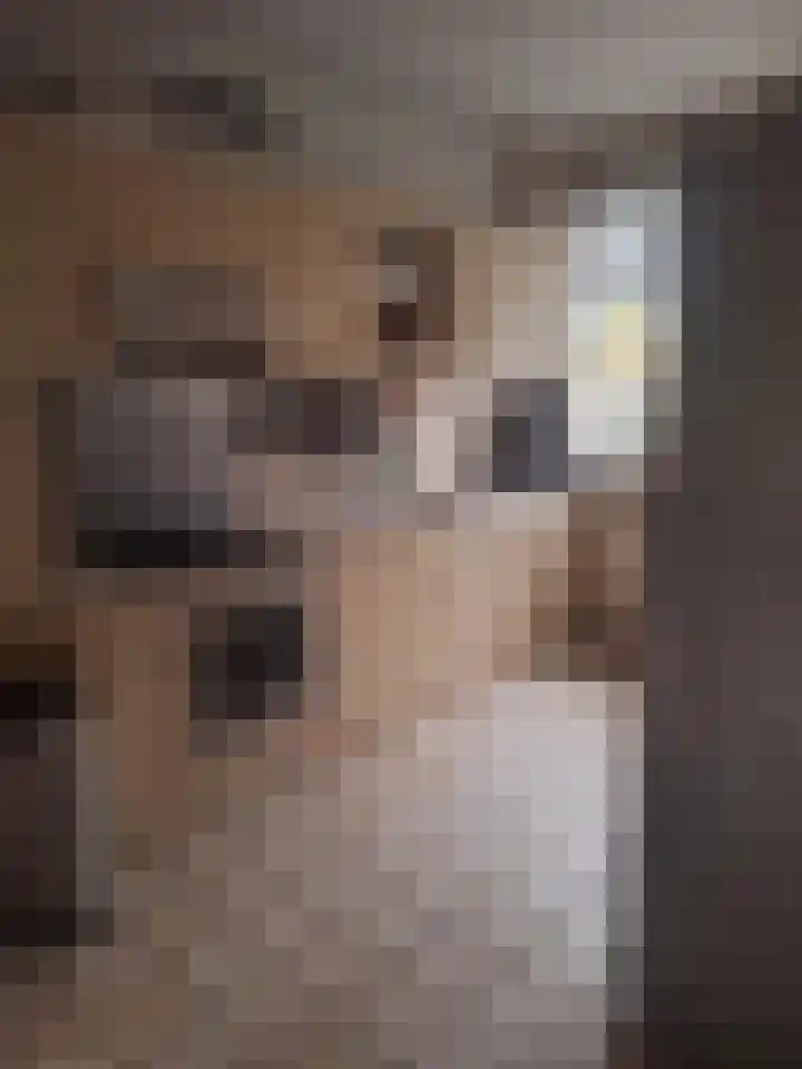 Vurenlaan 76 Tiel thumbnail 12