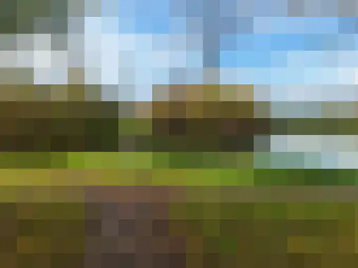 Vurenlaan 76 Tiel thumbnail 28