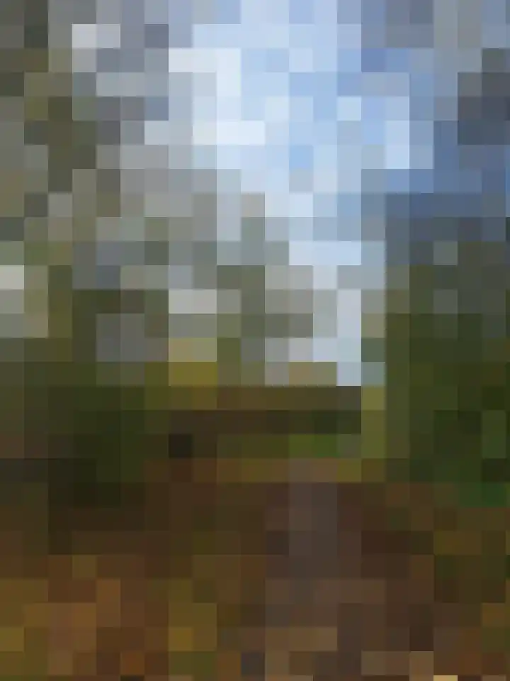Vurenlaan 76 Tiel thumbnail 29