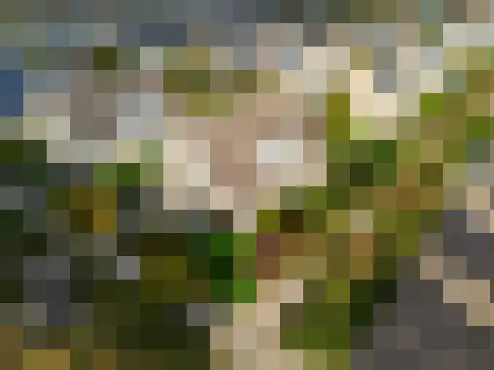 Vuurbaak 16 Limmen thumbnail 36