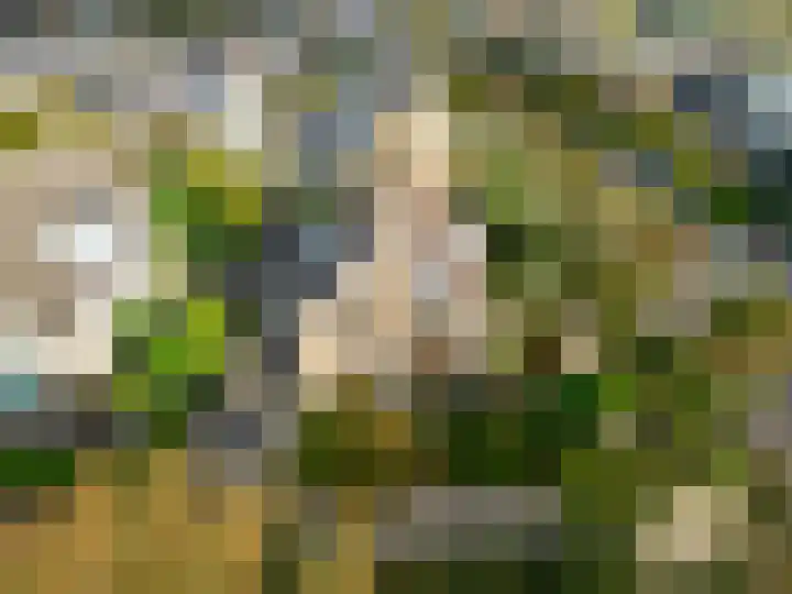 Vuurbaak 16 Limmen thumbnail 38