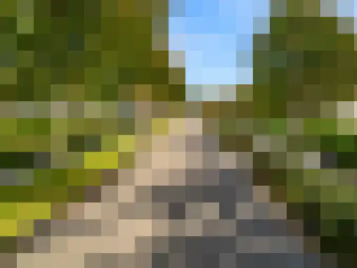 Vuurbaak 16 Limmen thumbnail 4