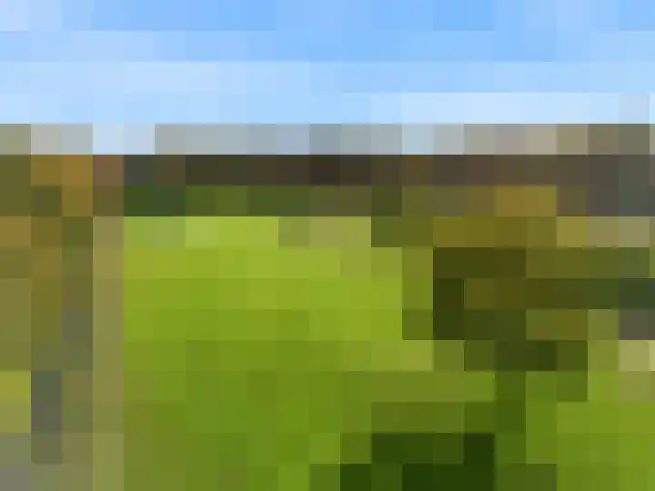 Vuurbaak 16 Limmen thumbnail 41