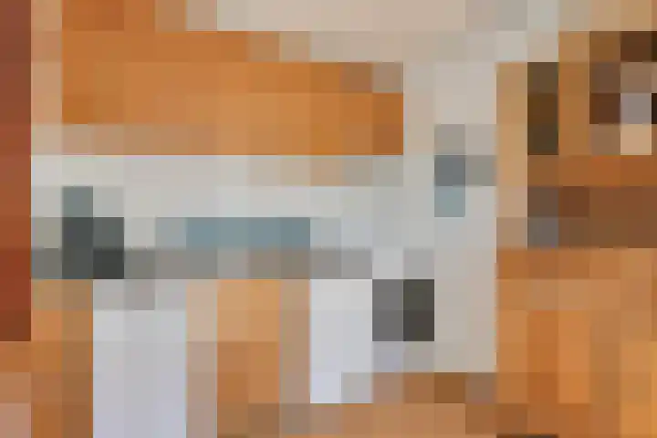 Vuurbakenstraat 8 Vrouwenpolder thumbnail 14