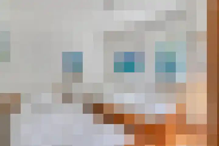 Vuurbakenstraat 8 Vrouwenpolder thumbnail 18