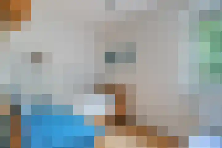 Vuurbakenstraat 8 Vrouwenpolder thumbnail 19