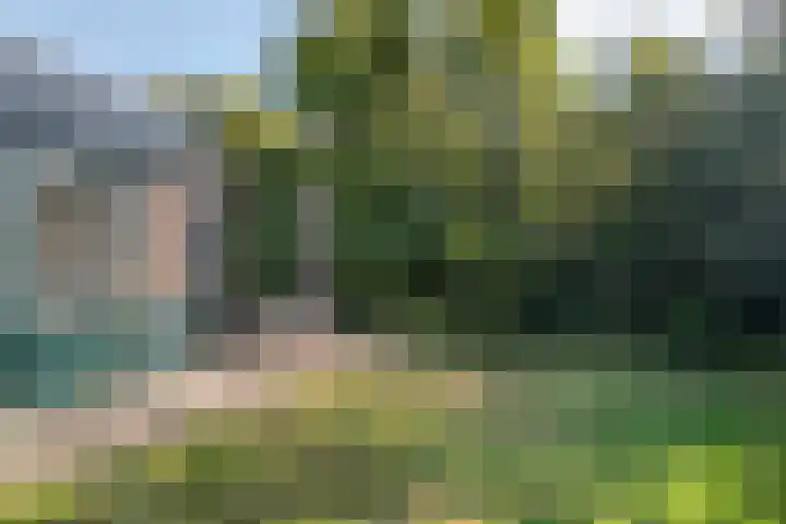 Vuurbakenstraat 8 Vrouwenpolder thumbnail 22