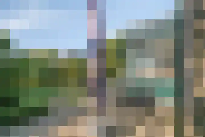 Vuurbakenstraat 8 Vrouwenpolder thumbnail 23