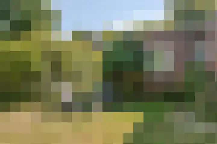 Vuurbakenstraat 8 Vrouwenpolder thumbnail 24