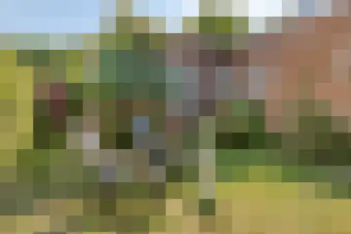 Vuurbakenstraat 8 Vrouwenpolder thumbnail 25