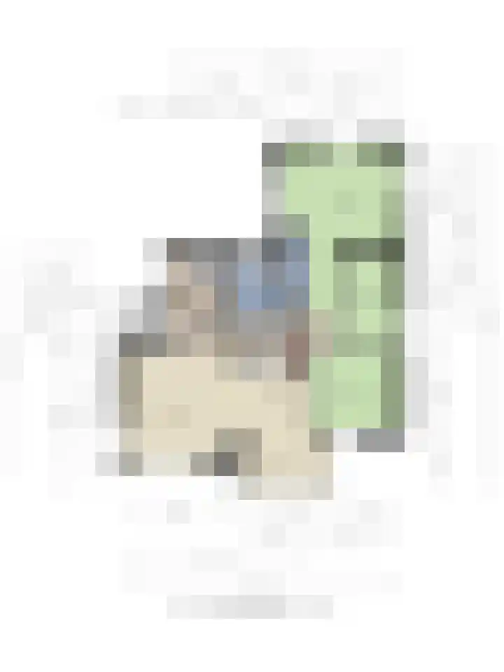 Vuurbakenstraat 8 Vrouwenpolder thumbnail 27