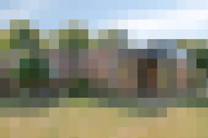 Vuurbakenstraat 8 Vrouwenpolder thumbnail 30