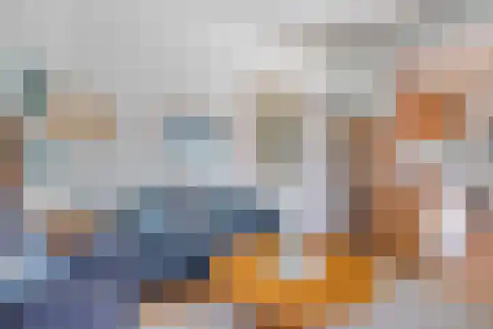 Vuurbakenstraat 8 Vrouwenpolder thumbnail 9