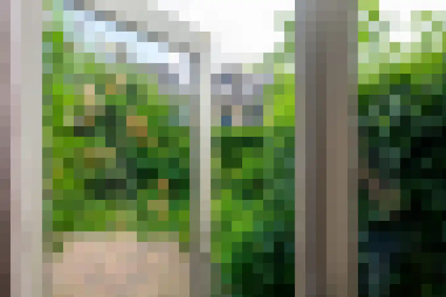 Vuurbloem 27 Leiden thumbnail 17