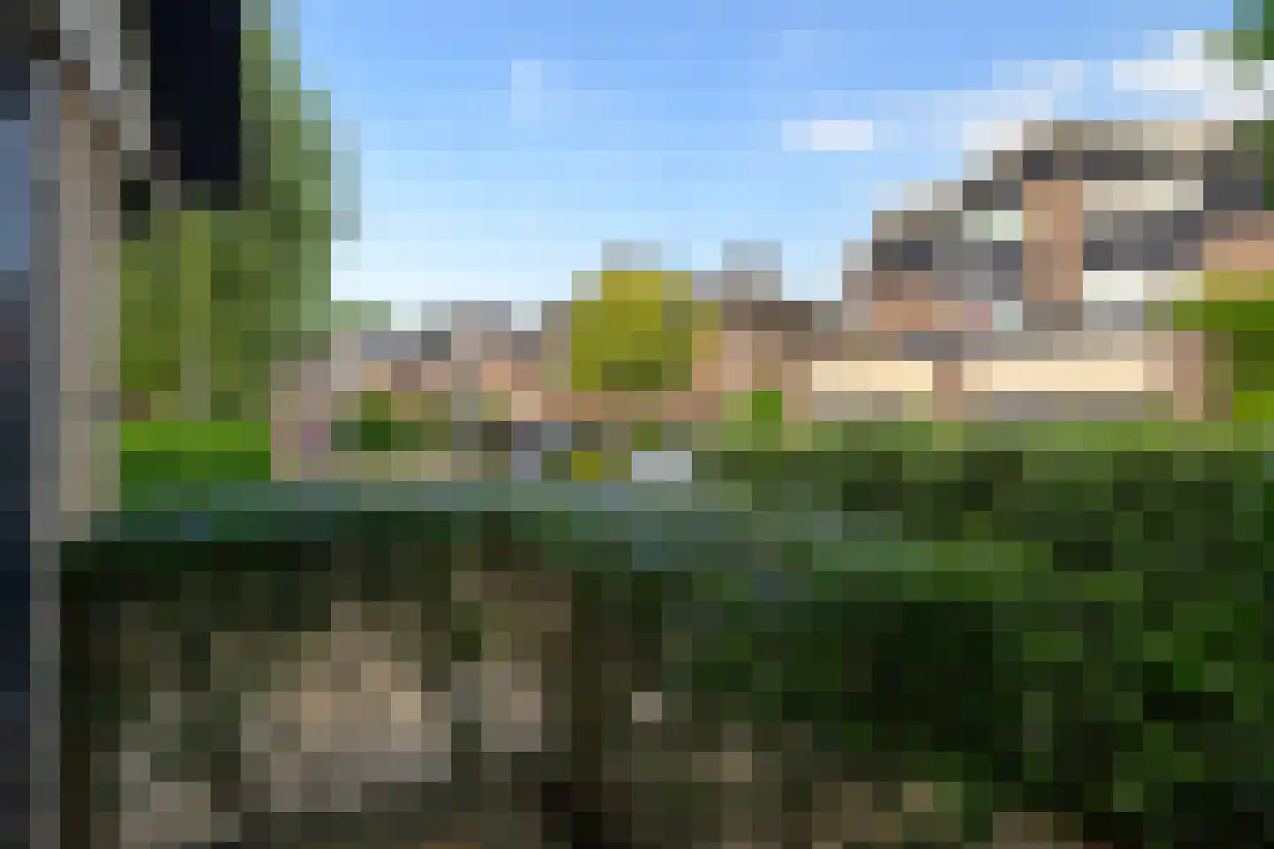 Vuurbloem 27 Leiden thumbnail 5