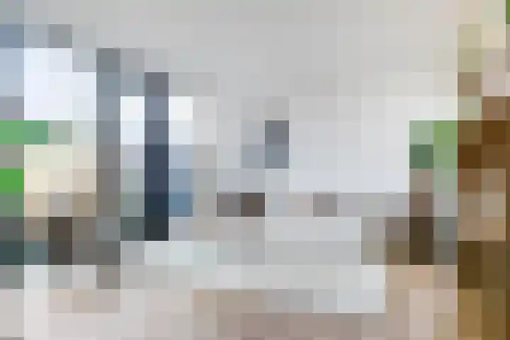 Vuurboetsduin 117 in Hoofddorp