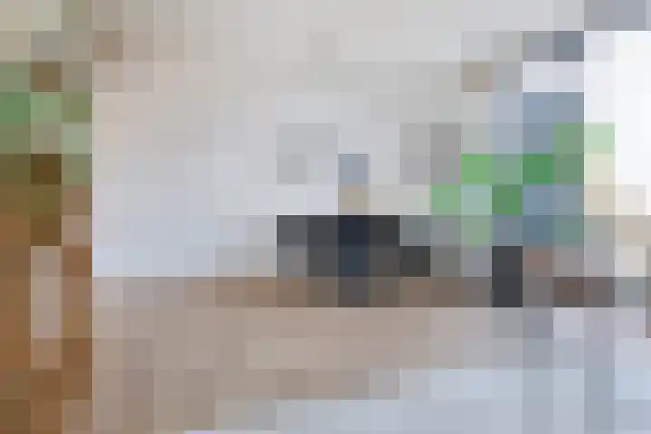 Vuurboetsduin 117 Hoofddorp thumbnail 13