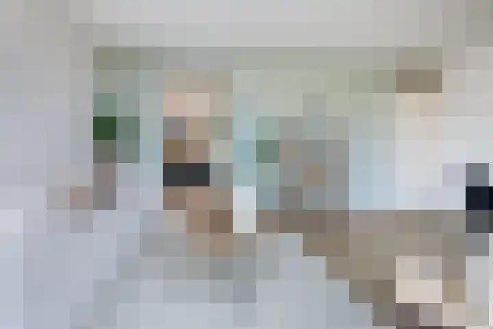 Vuurboetsduin 117 Hoofddorp thumbnail 14
