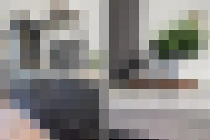 Vuurboetsduin 117 Hoofddorp thumbnail 17
