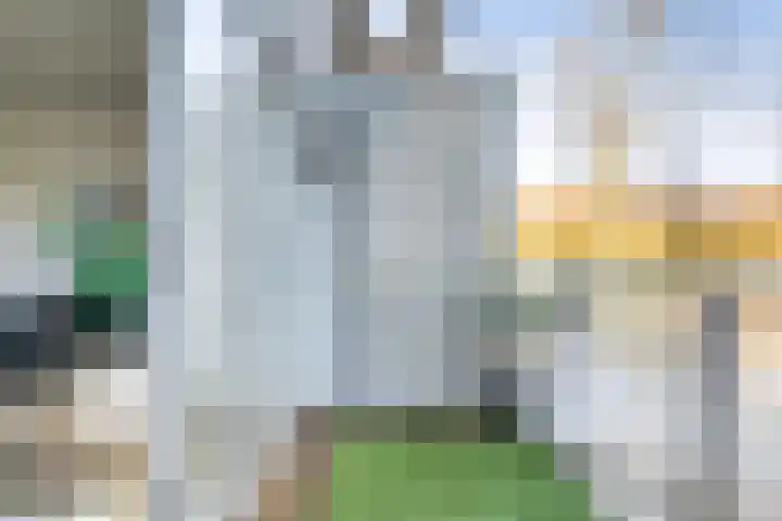 Vuurboetsduin 117 Hoofddorp thumbnail 19
