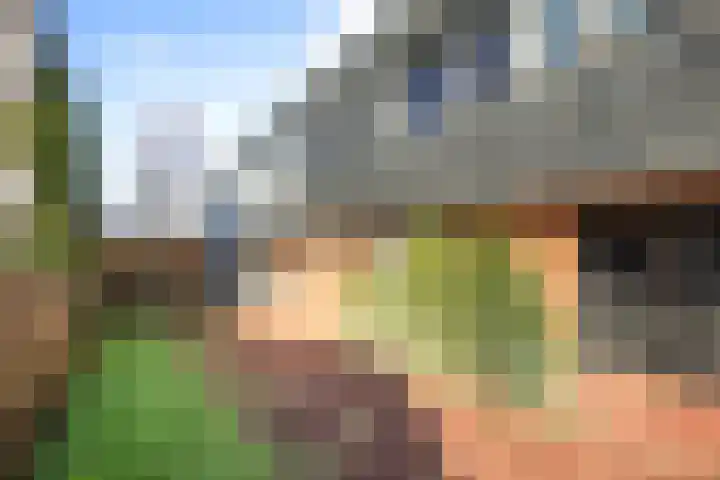 Vuurboetsduin 117 Hoofddorp thumbnail 6