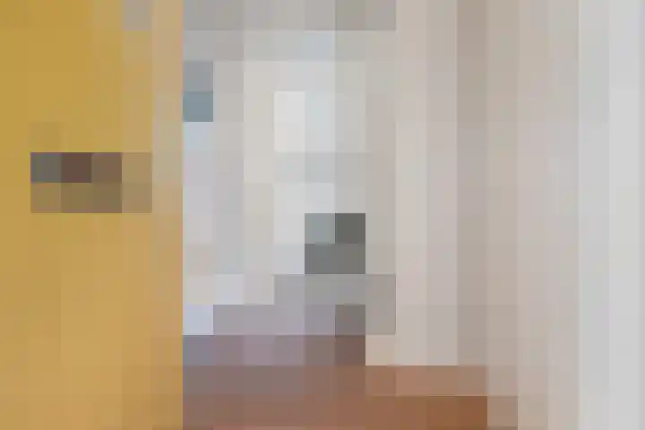 Vuurboetsduin 117 Hoofddorp thumbnail 8