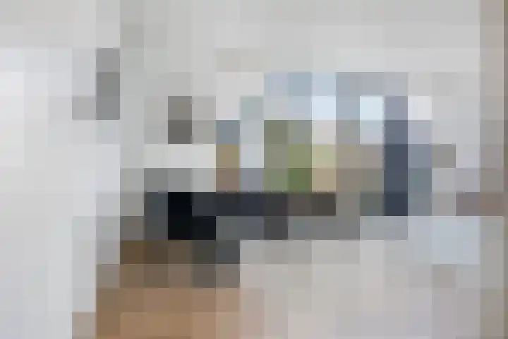 Vuurboetsduin 117 Hoofddorp thumbnail 9