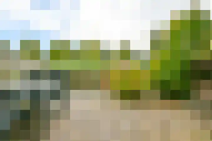 Vuurboetsduin 3 Hoofddorp thumbnail 22