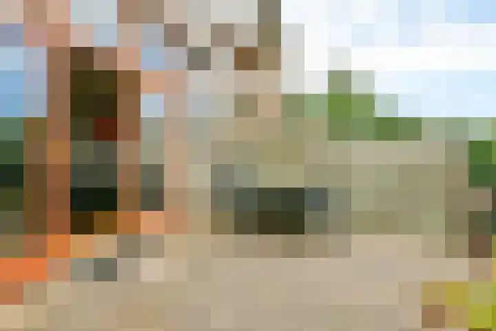 Vuurboetsduin 3 Hoofddorp thumbnail 23