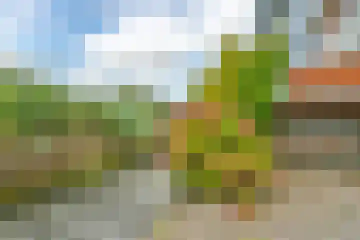 Vuurboetsduin 3 Hoofddorp thumbnail 24