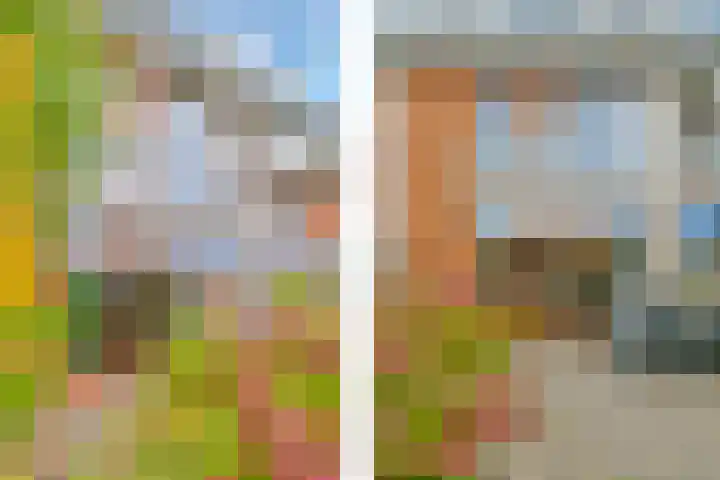 Vuurboetsduin 3 Hoofddorp thumbnail 25